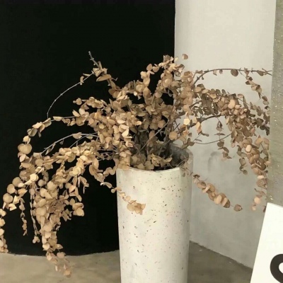 南充FurryQQ群介绍